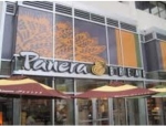 panera white plains.jpg